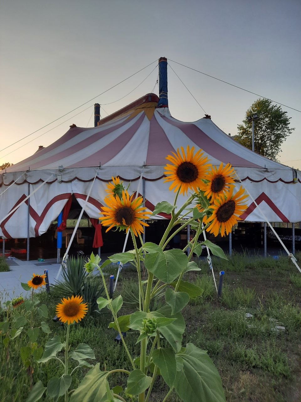 La sede di Big Top Monza